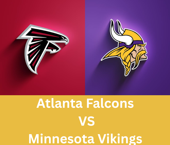 atlanta falcons vs minnesota vikings - stats