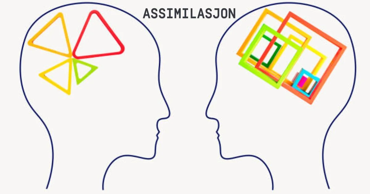 "Assimilasjon"